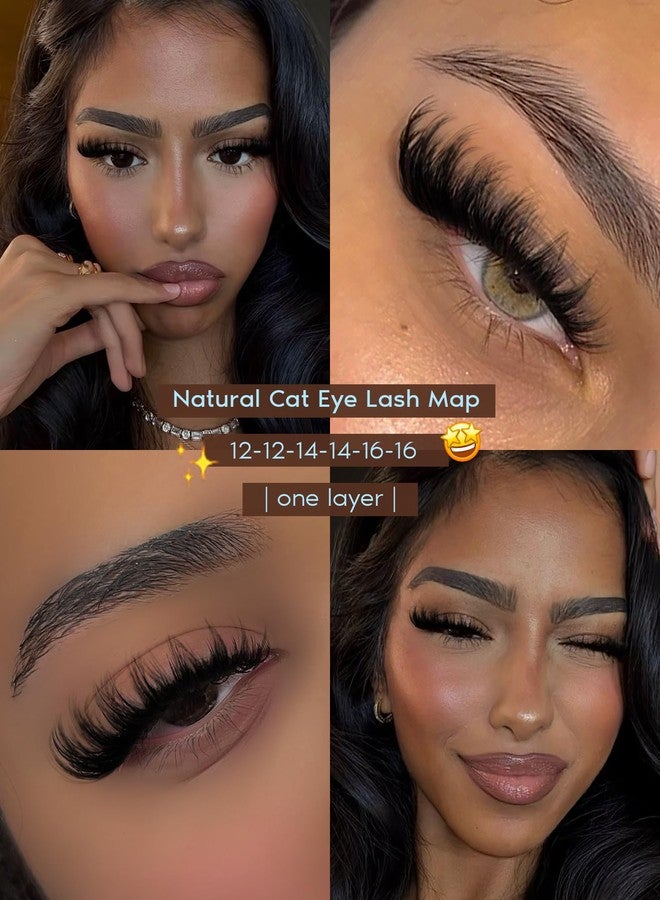 Goddvenus Fluffy Wispy Lash Clusters Kit Natural Eyelashes Clusters D Curl Cluster Eyelash Extensions Lightweight Individual Lashes DIY Eyelash Extension Kit with Waterproof Lash Cluster Glue - Image 3